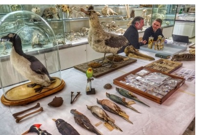 Exhibits at the Museum of Zoology, part of the Biology Faculty at the Downing Site in Cambridge.