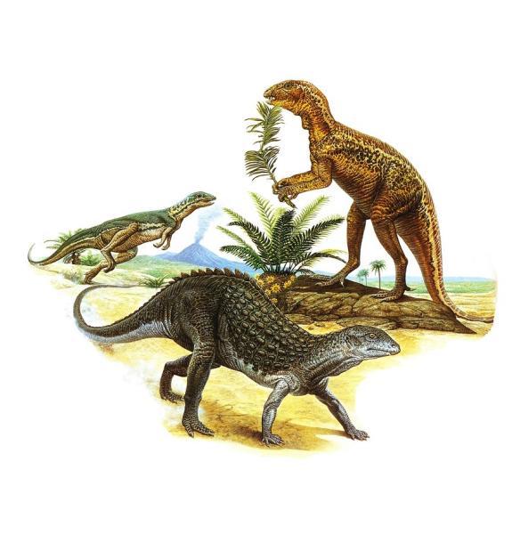 Three dinosaurs