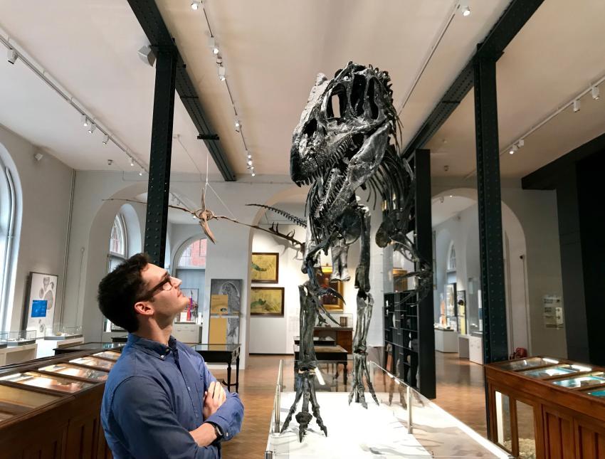 Daniel Field looking up at a dinosaur skeleton